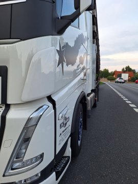 PAINT POLISHING - Bestseller