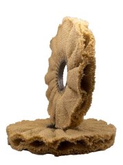 SISAL POLISHING WHEEL RAFFIA 305 MM – THE ROUGH START TO A PERFECT MIRROR FINISH